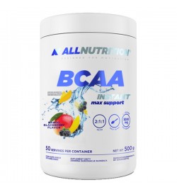 BCAA Instant Max Support 500 g ALLNutrition